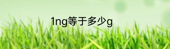 1ng等于多少g