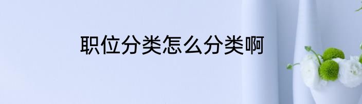职位分类怎么分类啊