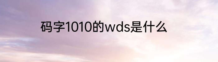 码字1010的wds是什么