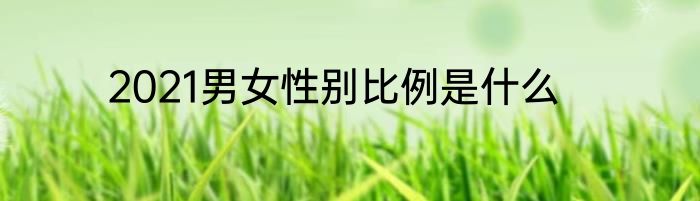 2021男女性别比例是什么