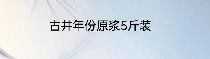 古井年份原浆5斤装