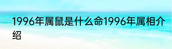 1996年属鼠是什么命1996年属相介绍