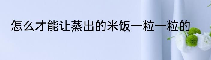 怎么才能让蒸出的米饭一粒一粒的