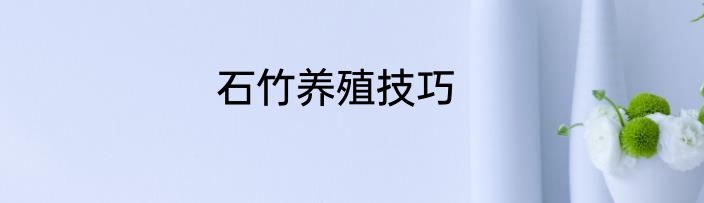 石竹养殖技巧