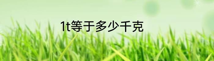 1t等于多少千克