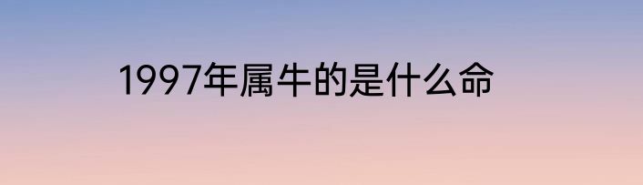 1997年属牛的是什么命