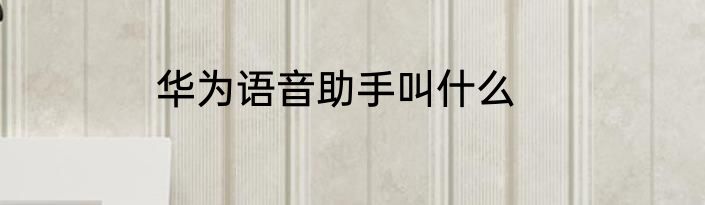 华为语音助手叫什么