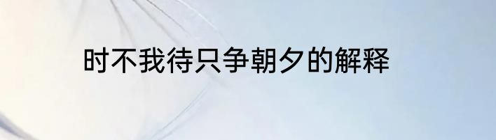 时不我待只争朝夕的解释