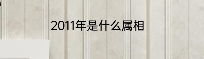2011年是什么属相