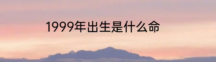 1999年出生是什么命