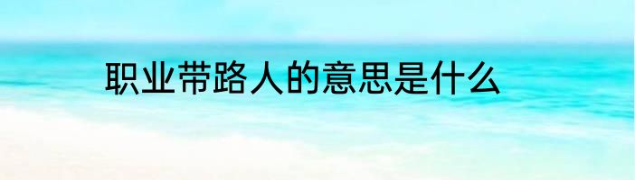职业带路人的意思是什么