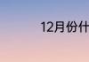 12月份什么时候考四级