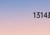 1314是什么意思