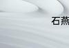 石燕鸟优缺点