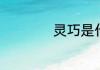 灵巧是什么词性的词