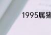 1995属猪的女人什么命