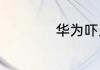 华为吓人技术是什么