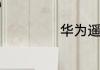 华为遥控功能在哪