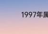 1997年属牛的是什么命