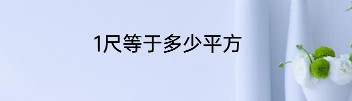 1尺等于多少平方