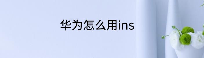 华为怎么用ins
