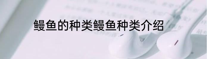 鳗鱼的种类鳗鱼种类介绍