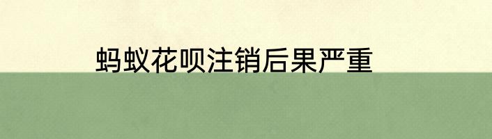蚂蚁花呗注销后果严重