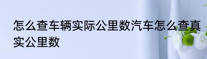 怎么查车辆实际公里数汽车怎么查真实公里数