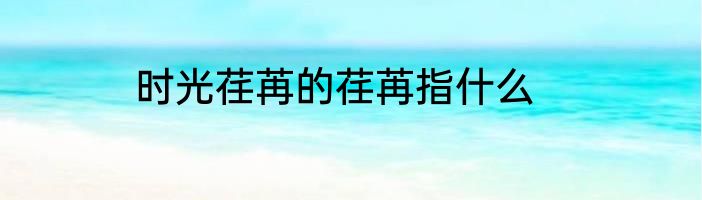 时光荏苒的荏苒指什么