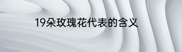 19朵玫瑰花代表的含义