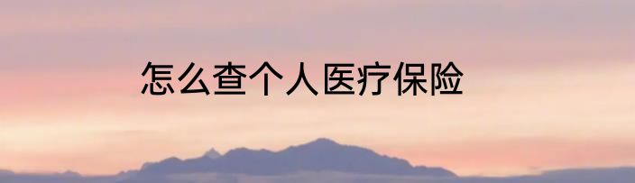 怎么查个人医疗保险