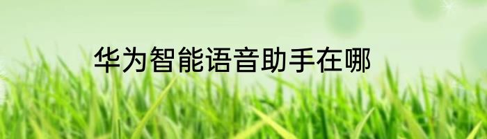 华为智能语音助手在哪