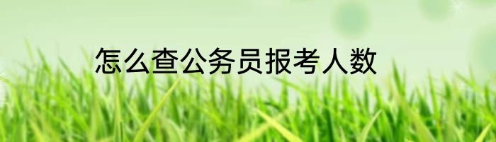怎么查公务员报考人数