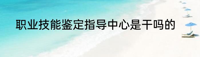 职业技能鉴定指导中心是干吗的