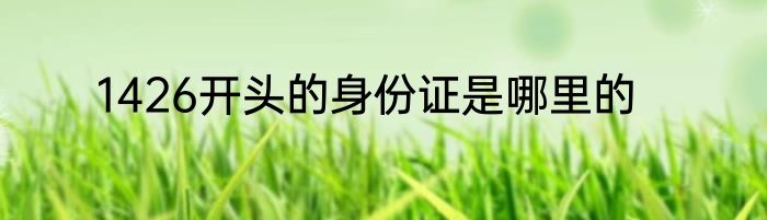 1426开头的身份证是哪里的