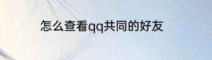 怎么查看qq共同的好友