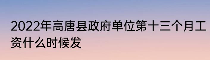 2022年高唐县政府单位第十三个月工资什么时候发