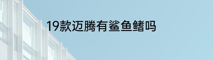 19款迈腾有鲨鱼鳍吗