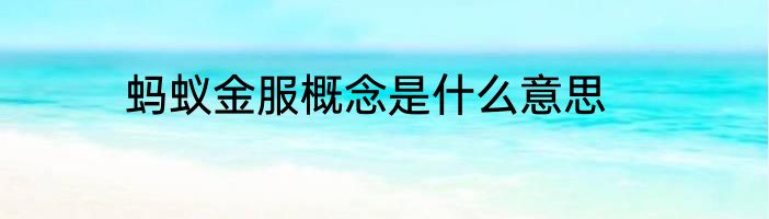 蚂蚁金服概念是什么意思