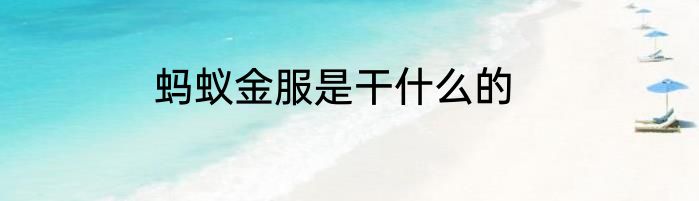 蚂蚁金服是干什么的
