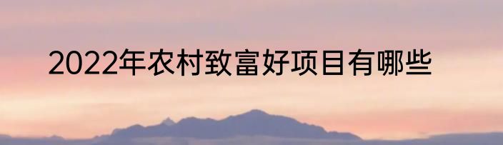 2022年农村致富好项目有哪些