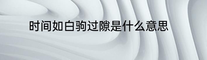 时间如白驹过隙是什么意思