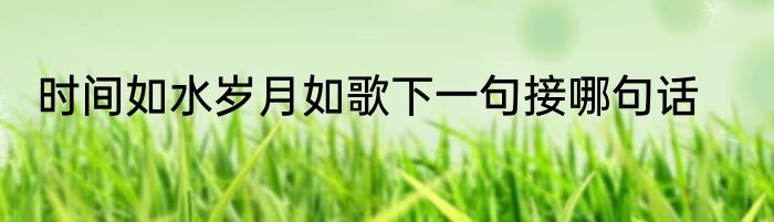 时间如水岁月如歌下一句接哪句话