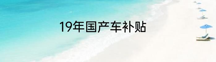 19年国产车补贴