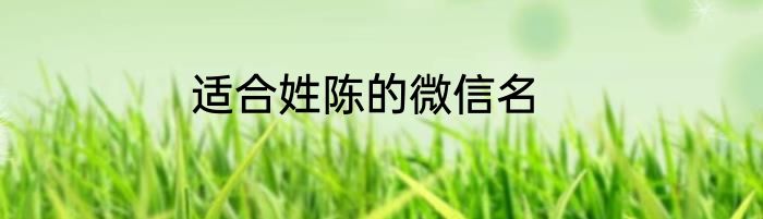 适合姓陈的微信名