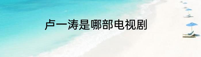 卢一涛是哪部电视剧