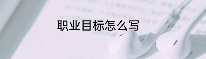 职业目标怎么写