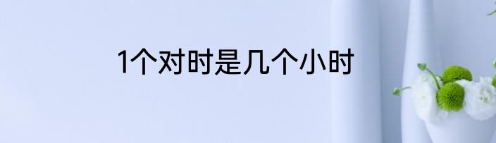 1个对时是几个小时