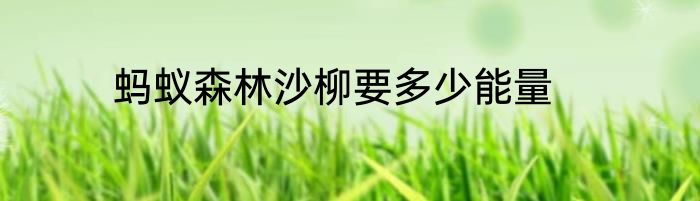 蚂蚁森林沙柳要多少能量