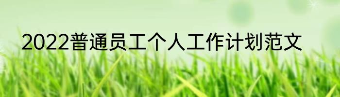 2022普通员工个人工作计划范文